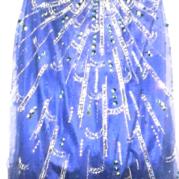 Long Dress, strapless, on navy netting - Picture 2 of 2